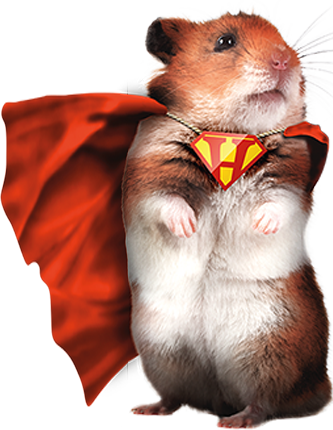 SuperHorst SuperHorst